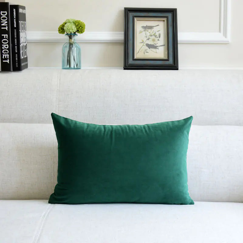 Velvet Throw Pillow for Sofa Decor