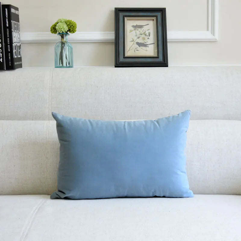 Velvet Throw Pillow for Sofa Decor