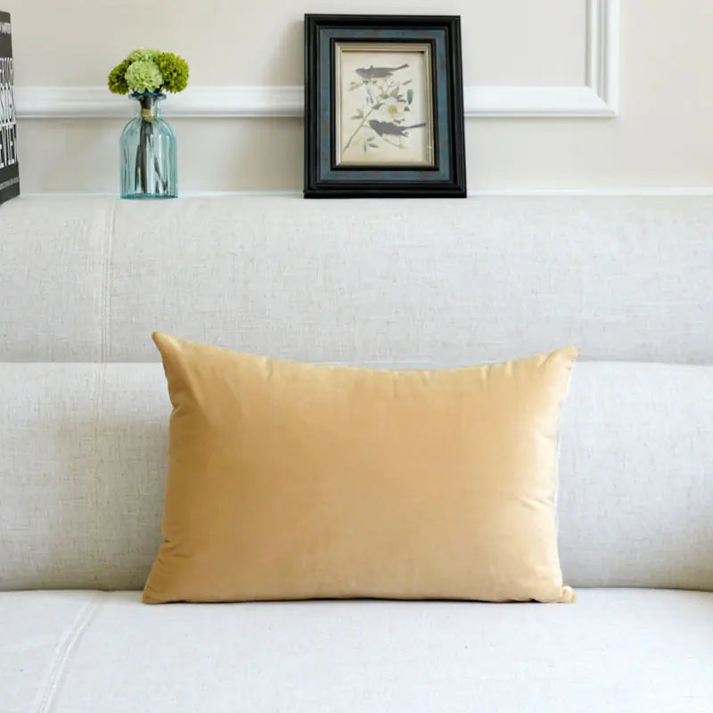 Velvet Throw Pillow for Sofa Decor