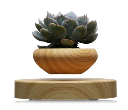 Magnetic Levitation Plant Pot with Floating Flowers