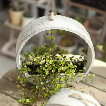 Wooden Hanging Planter for Garden Decoration