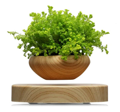 Magnetic Levitation Plant Pot with Floating Flowers