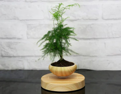 Magnetic Levitation Plant Pot with Floating Flowers